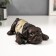 Polystone souvenir "Pug in a T -shirt with a scarf" for bronze 5.5x18x11 cm