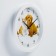 Wall watches, D-28 cm, children's, "friendship", silent