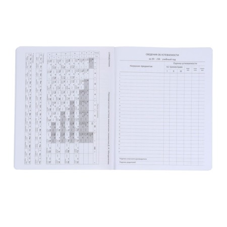 Universal diary for grade 1-11, solid cover, artificial leather, blue cover, lies, 80 g/m2-9
