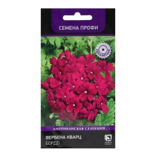 Verben Flowers 