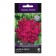 Verben Flowers "Quartz Bordeaux" 10 pcs