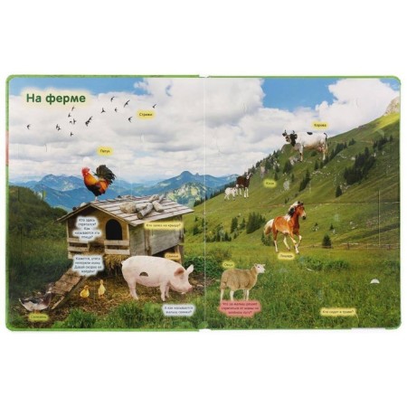 100 secret windows. Animals-1