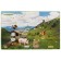 100 secret windows. Animals