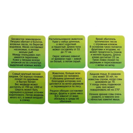 Developing set "Funny animals", sorter, tasks on cards, marker-5