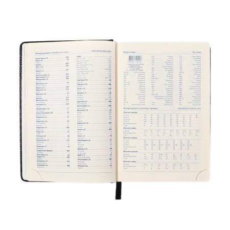 Diary of 2025 A5, 168 sheets in a ruler, leatherette "Nebraska", silver cut, black-8