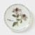 Chamomile