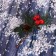 Decor "Winter charm" bump with berries of hook 19 cm