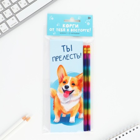 Set 2 pencils and notebook "Corgi"-1