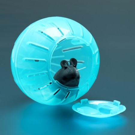 A ball for rodents 12 cm, blue-2