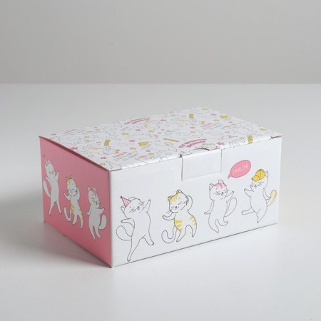 Box - Penal, Gift packaging, “Dance!”, 22 x 15 x 10 cm-3