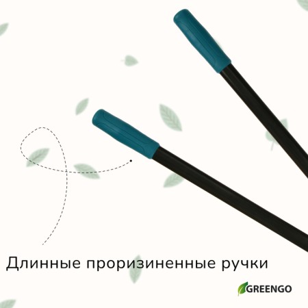 Badkorez, professional, 31 "(79 cm), mix, Greengo-4
