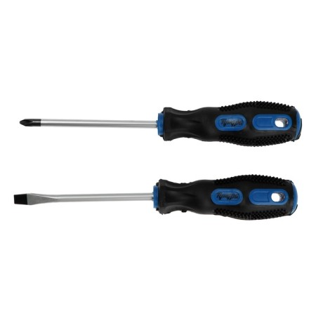 A set of screwdrivers of tundra, satin, magnet, two -component handles, PH2/SL6 x 100 mm, 2 pcs.-1