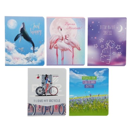 Notebook of 48 sheets in the "Girls" line, cover coated cardboard, offset unit, mix