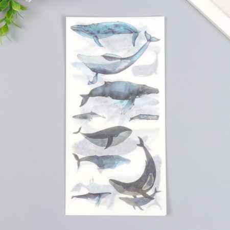 Stickers "Paring Whales" set 3 sheets 10x20 cm-2