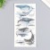 Stickers "Paring Whales" set 3 sheets 10x20 cm