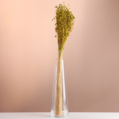 A set of dried flowers "Lenon-long", banch length 55-60 (+/- 6 cm), green