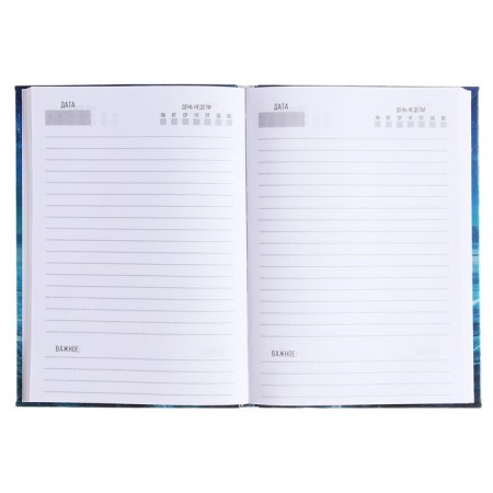 The diary of a low -up A5 136 sheets, integral cover, glossy lamination "never give up"-2