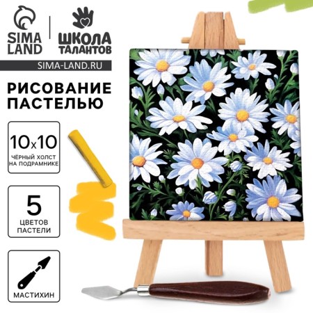 Pastel drawing with a canvas on the subframe of "chamomile", a set for creativity