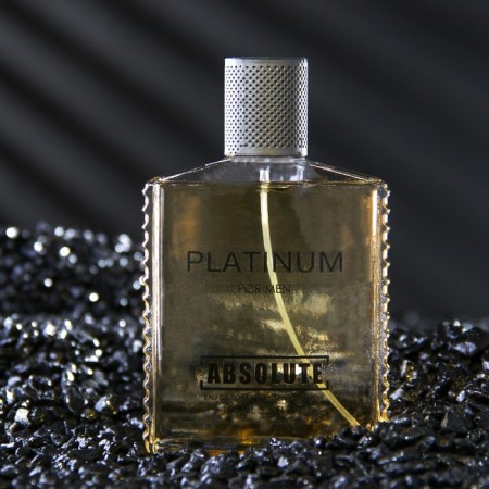 Men's toilet water Absolute Platinum, 100 ml (based on EgoIste Platinum (Chanel)-1