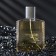 Men's toilet water Absolute Platinum, 100 ml (based on EgoIste Platinum (Chanel)