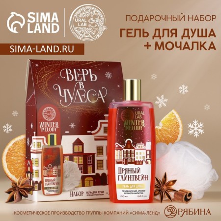 Gift set of cosmetics, shower gel 250 ml and washcloth, Winter Melody by Ural Lab