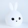 Set for creativity “Color the lamp. Bunny "