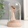Souvenir Polystone Light "Angel-Bezliky in the flask" MIX 11x6.8x6.8 cm
