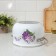 Poster "Lilac", 4 l, glass cover