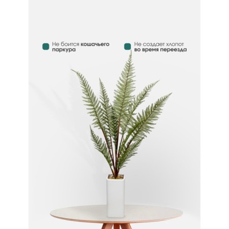 Fern in a ceramic pot, 110 × 110 × 930 mm, green / white color-5