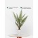 Fern in a ceramic pot, 110 × 110 × 930 mm, green / white color