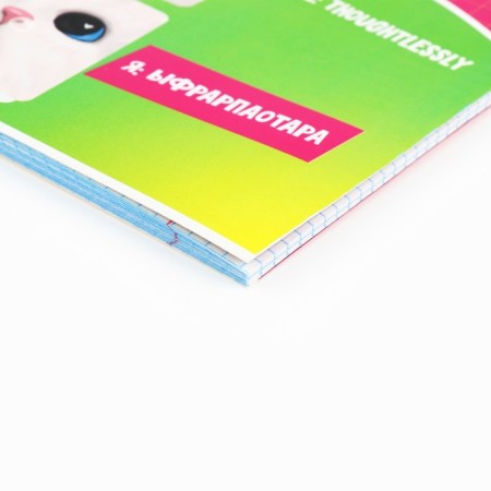 Subject notebook A5, 36 liters on the paper clip “September 1: memes. English language"-1