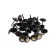 Nails Stroybat, decorative, 11x13 mm, bronze, 200 pcs