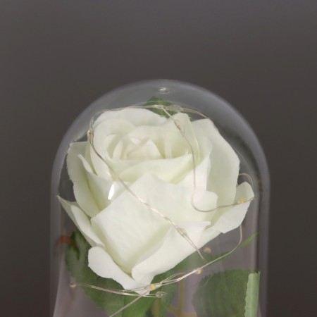 Nightlight "Rose" LED 3HAAA White 9.5x9.5x14cm-3