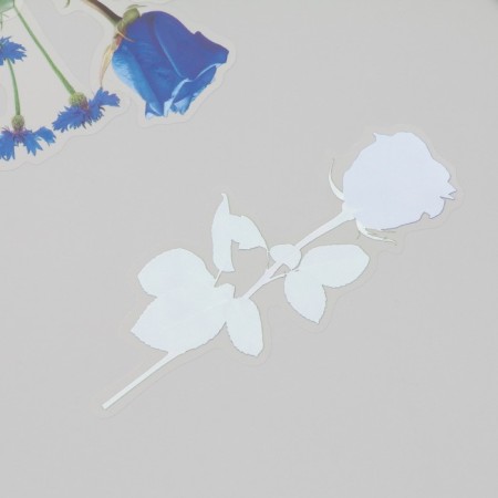 Plastic stickers "Flowers and quotes. Blue" set 12 pcs 8.5x21.5x0.2 cm-1