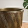 Flower pot "Greece" with a pallet 8l