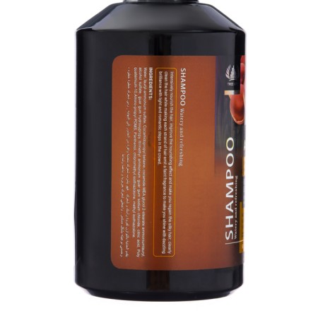 Hair shampoo smoothness and moisturizing "Argan", 500 ml-1