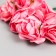 Flowers for decorating "tea roses" 1 bouquet = 6 colors 9.5 cm bright pink