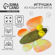 Игрушка для кошек «Бабочка» из кошачьей мяты, 8 х 6.5 см