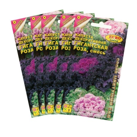 Seeds of flowers of cabbage decorative "giant rose", mixture, set 5 pcs