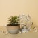 Garland “thread” 2 m Rosa with nozzles “Christmas tree”, IP20, silver thread, 20 LED, glow warm white, AAX2