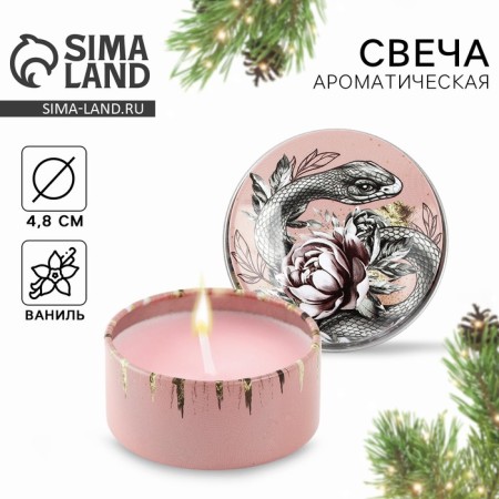 New Year. New Year's candle in the Iron Bank "Snake" Aroma Vanil, 4.8 cm