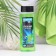 Shower gel Fresh Mint "Mint House", 400 ml