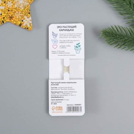 Growing gift pencils Mini "Pine"-2