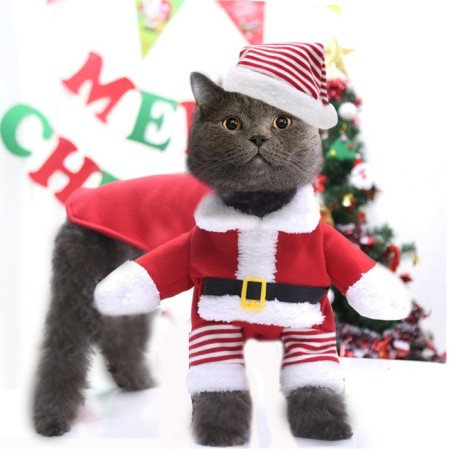 New Year's costume for dogs "Klaus", size S (DS 25, OG 35 cm)
