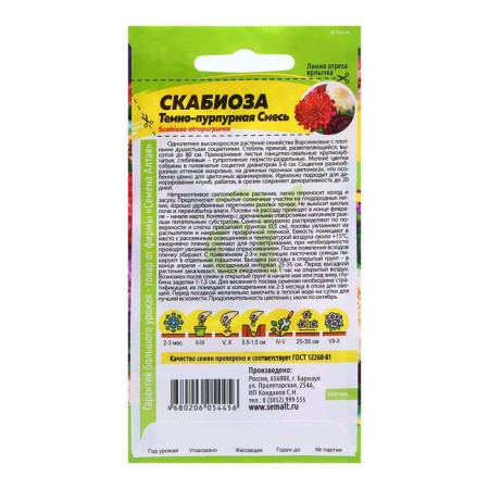 Scabiosis seeds "dark purple", 0.2 gr.-1