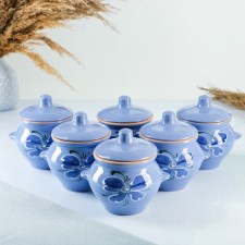 Set of pots No. 5 with pens 6x0.5l, vaslek blue