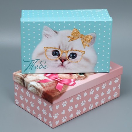 Set of boxes 10 in 1, gift packaging, “bright”, 12 x 7 x 4 - 32.5 x 20 x 12.5 cm-2