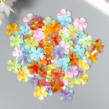 Set for creativity of sequin 10 grams 