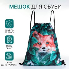 Bag for shoes on the lace, green color
