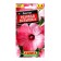Flower flower seeds "Pink flash", c/p, 0.3 g